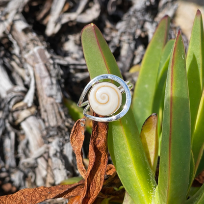 925 Sterling Silver Shiva Eye Shell Ring