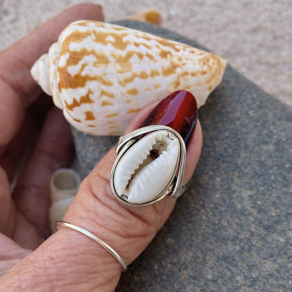 Cowrie Shell Ring 925 Sterling Silver