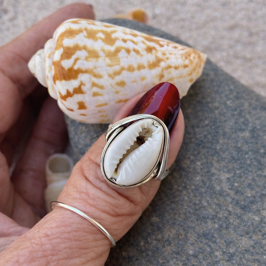 Cowrie Shell Ring 925 Sterling Silver